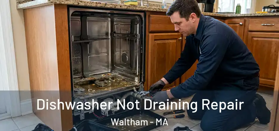  Dishwasher Not Draining Repair Waltham - MA