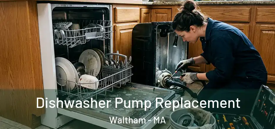 Dishwasher Pump Replacement Waltham - MA
