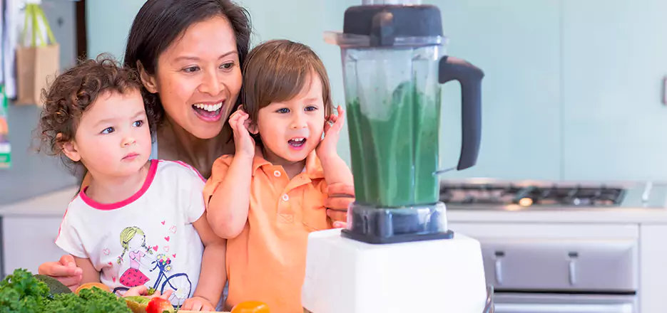 Juicer and Mixer Blender Repair in Waltham