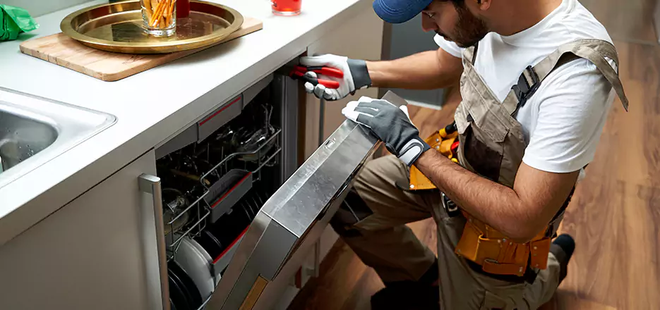 Same Day Dishwasher Not Draining Repair in Waltham
