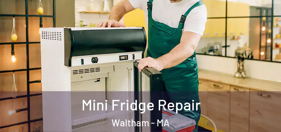 Mini Fridge Repair Waltham - MA